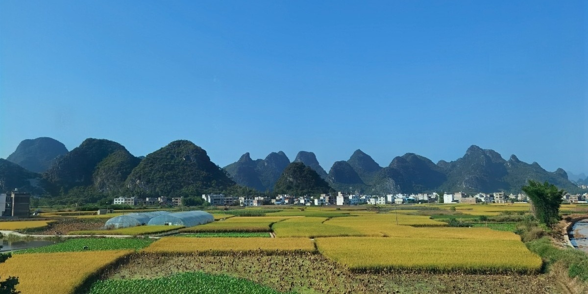 pg���ӡ�ģ����(������Ϸ)�ٷ���վ��ģ����/����ƽ̨