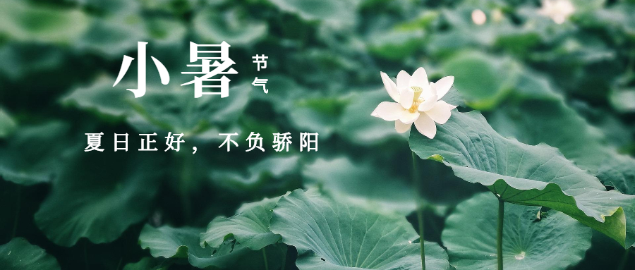 СԸǻ洦